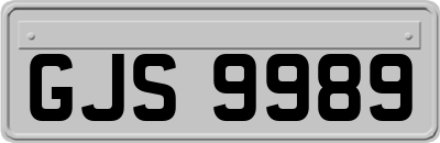 GJS9989