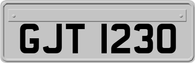GJT1230