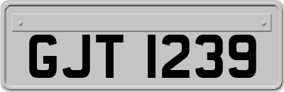 GJT1239