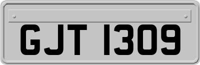 GJT1309