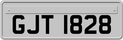 GJT1828