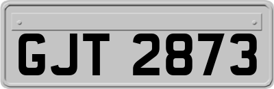 GJT2873