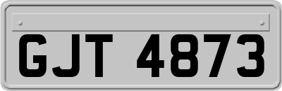 GJT4873
