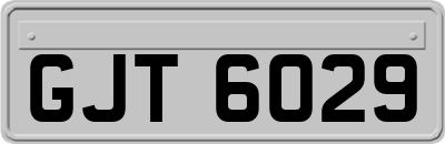 GJT6029