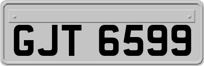 GJT6599