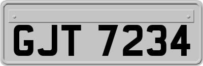 GJT7234