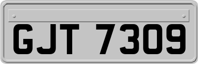 GJT7309