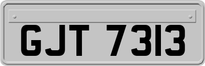 GJT7313