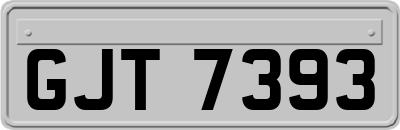 GJT7393
