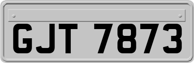 GJT7873