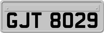 GJT8029