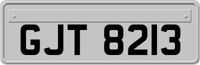 GJT8213