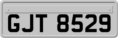 GJT8529