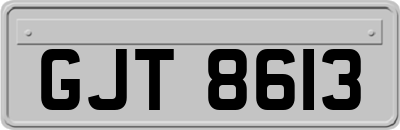 GJT8613