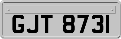 GJT8731