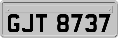 GJT8737