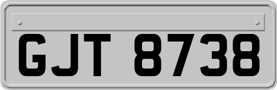 GJT8738