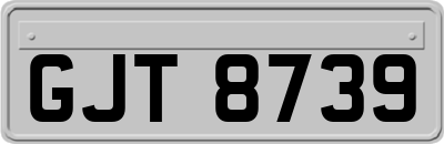 GJT8739
