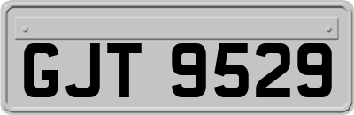 GJT9529