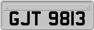 GJT9813