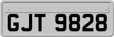 GJT9828
