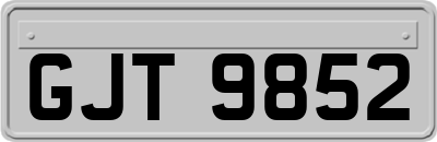 GJT9852