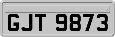 GJT9873