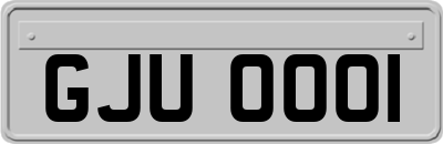 GJU0001
