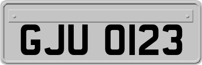 GJU0123