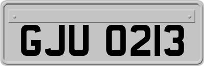 GJU0213