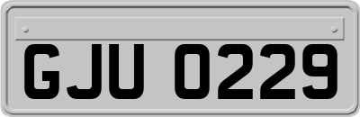 GJU0229