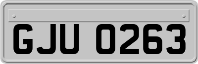 GJU0263