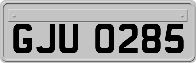 GJU0285