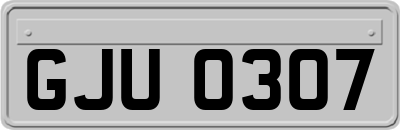 GJU0307