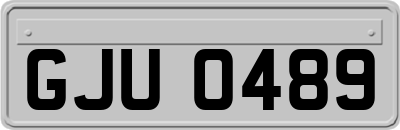 GJU0489