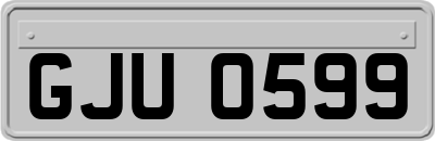 GJU0599