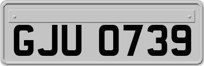 GJU0739