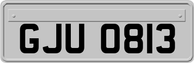 GJU0813