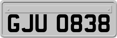 GJU0838