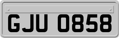 GJU0858