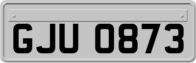 GJU0873