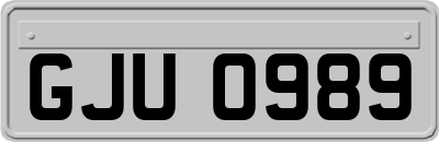 GJU0989