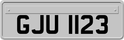 GJU1123