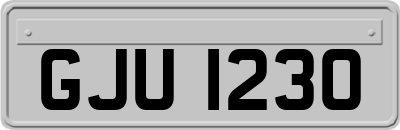 GJU1230