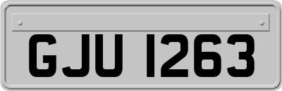 GJU1263
