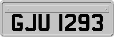 GJU1293