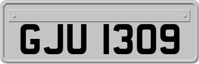 GJU1309
