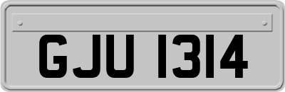 GJU1314