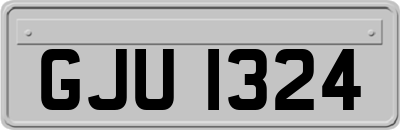 GJU1324