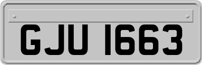 GJU1663